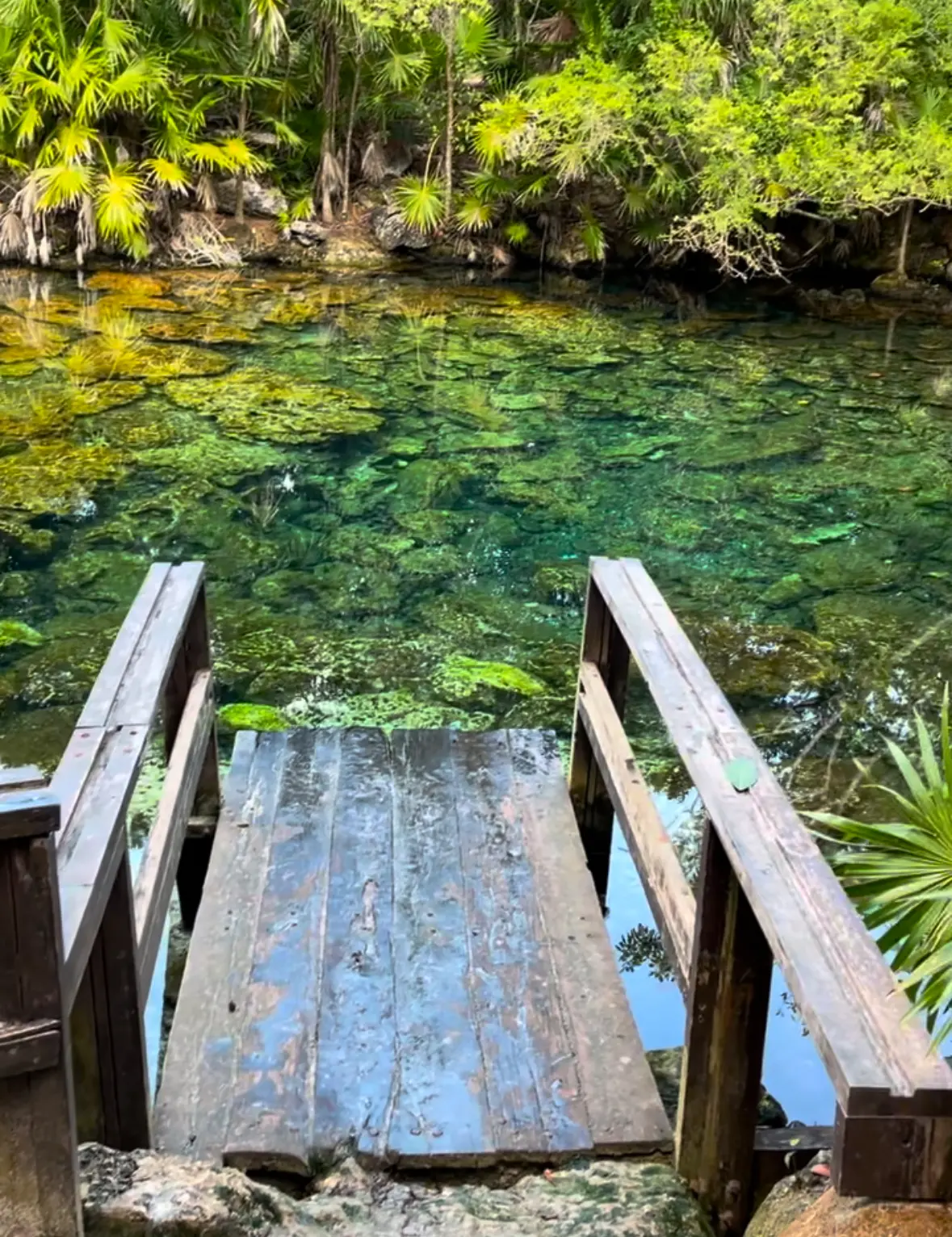Caleta Tankah cove and beach beds